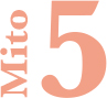 5myths5