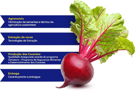 customer-first-beet