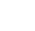 1-Functional-and-nootropic-ingredients-icon