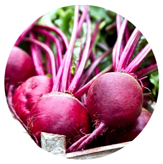 beets