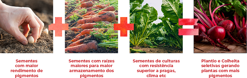 cost-effective-plusses