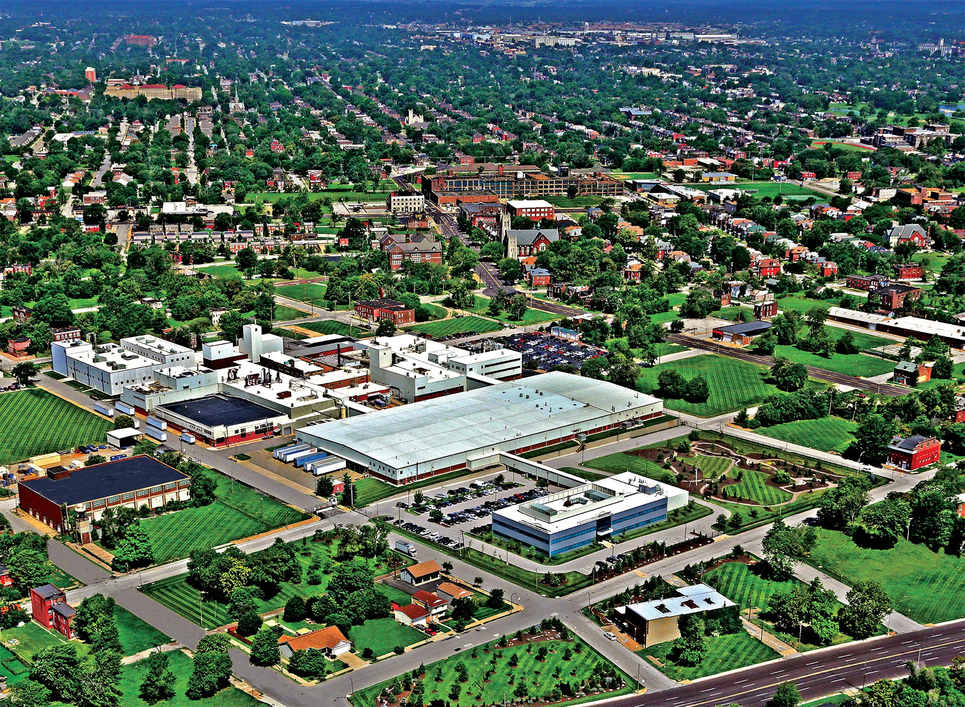 sensient hq overhead shot
