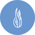 spirulina icon